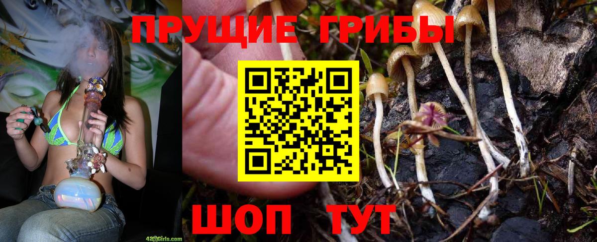 Псилоцибиновые грибы GOLDEN TEACHER  Галлюциногенные грибы ЛСД  Вход с VPN  Семилуки 