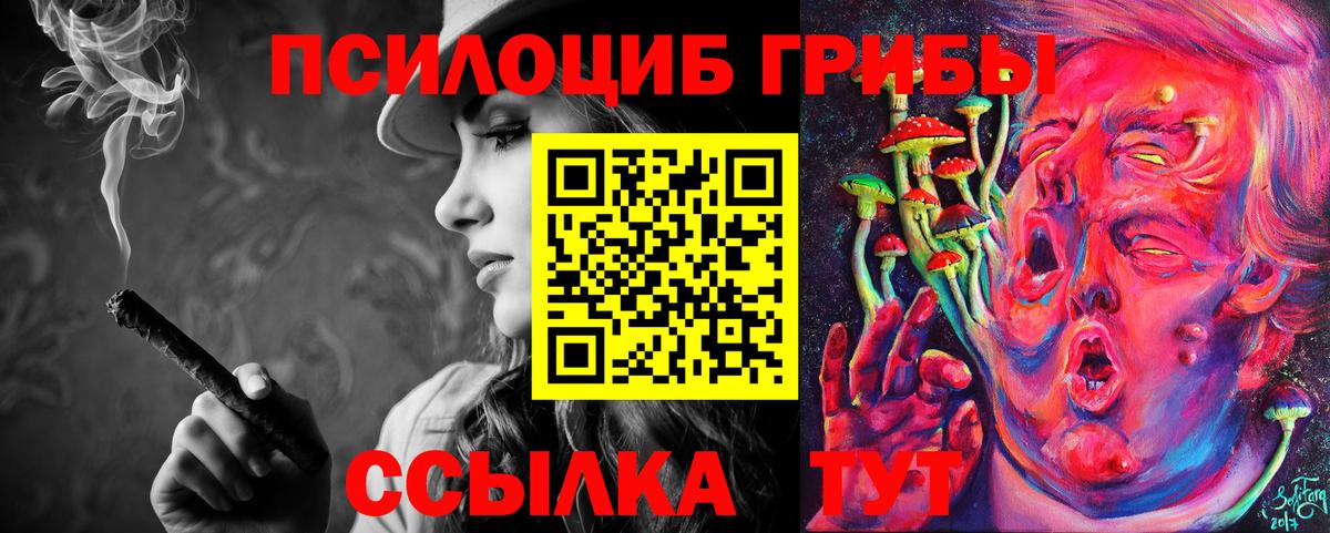 Галлюциногенные грибы Psilocybine cubensis Семилуки